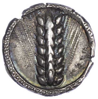 Lucania, Metapontum, Silver Nomos