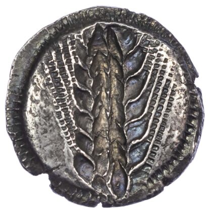 Lucania, Metapontum, Silver Nomos