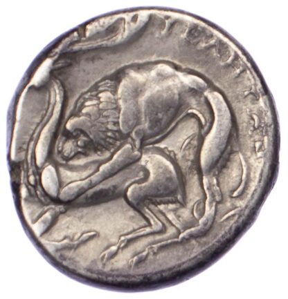 Lucania, Velia, Silver Nomos