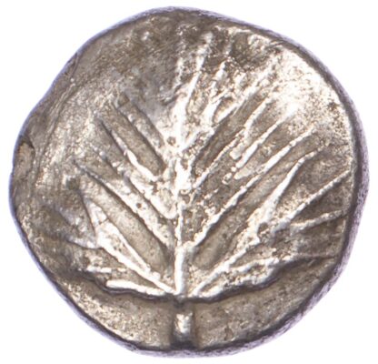 Sicily, Selinos, Silver Didrachm