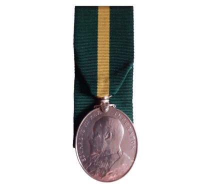 Territorial Force Efficiency Medal, EViiR, awarded to Serjeant J.T. Cosser