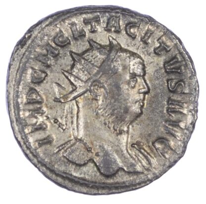 Tacitus (AD 275-276) Bi Antoninianus