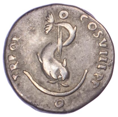 Domitian, Silver Denarius
