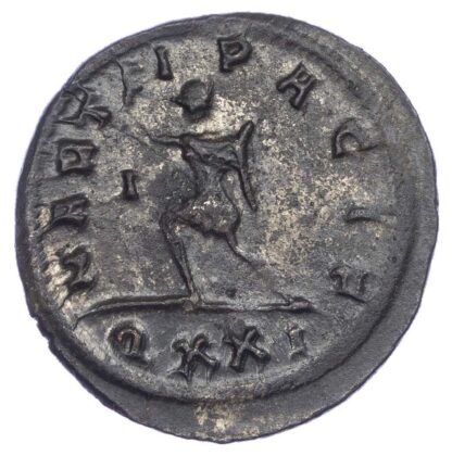 Probus, Antoninianus