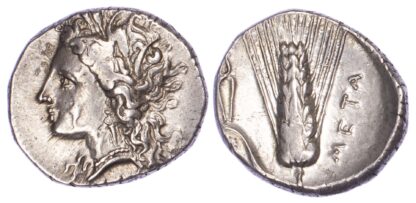 Metapontum, Silver Nomos