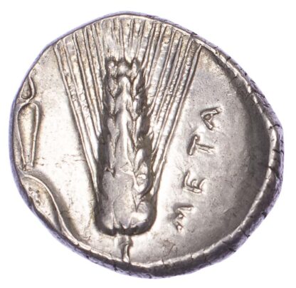 Metapontum, Silver Nomos