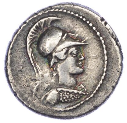 C. Vibius Pansa, Silver Denarius