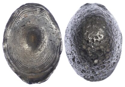 China, Qing Dynasty (late 19th century), Sycee of 1 silver Tael