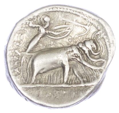 Seleukos I, Silver Drachm