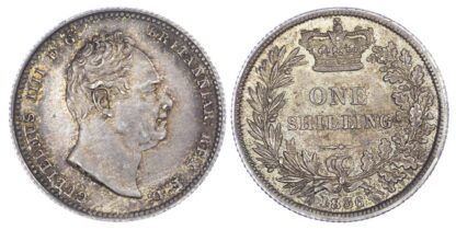 William IV (1830-1837), Shilling, 1836, bare head