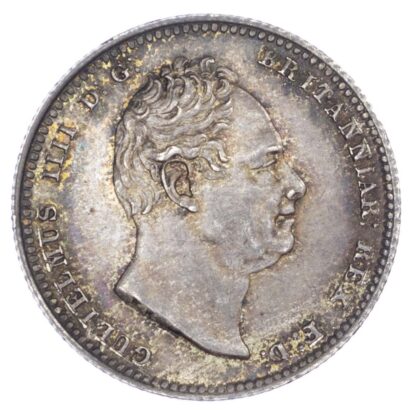 William IV (1830-1837), Shilling, 1836, bare head