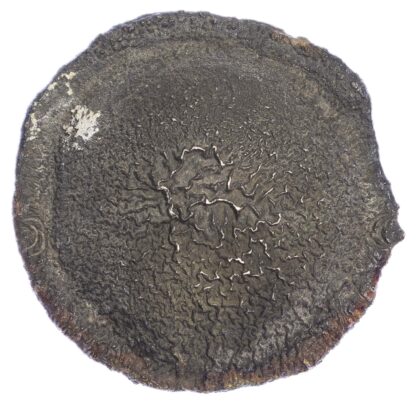 Thailand, Thai Kingdoms, Chiang Mai Tok money (17th-19th century)