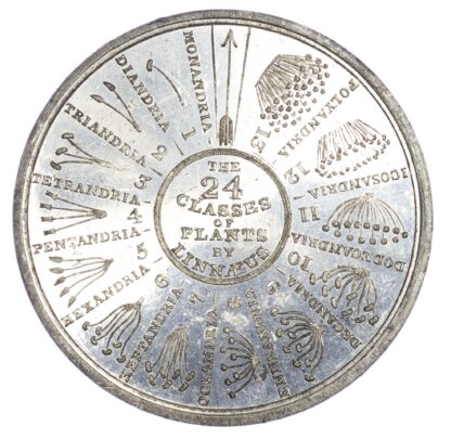 Carolus [Carl] Linnaeus (1707-1778), The 24 Classes of Plants