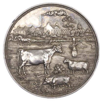 Scotland. General Agricultural Association of Ayrshire, AR prize medal