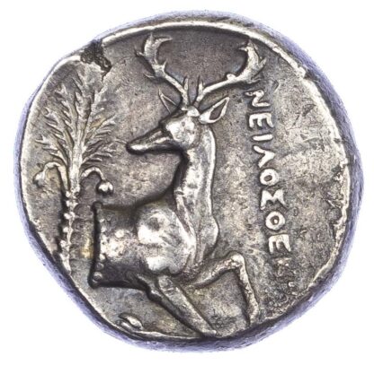 Ephesus, Silver Tetradrachm