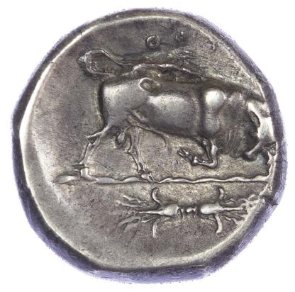 Lucania, Thurium (c. 300-280 BC) AR Nomos