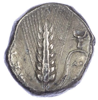 Lucania, Metapontum (c. 320 BC) AR Nomos