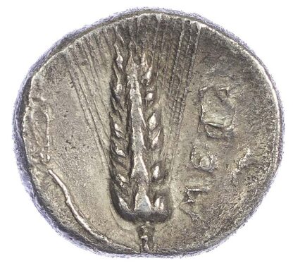 Lucania, Metapontum (c. 330-290 BC) AR Nomos