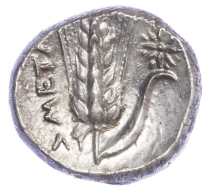 Lucania, Metapontum, Silver Nomos