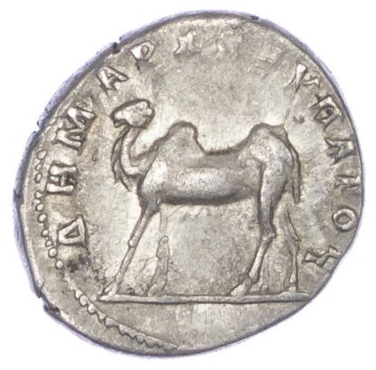 Trajan, Silver Drachm, Camel