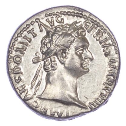 Domitian, Silver Denarius
