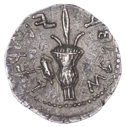 Judea, Bar Kokhba Revolt, Silver Sela