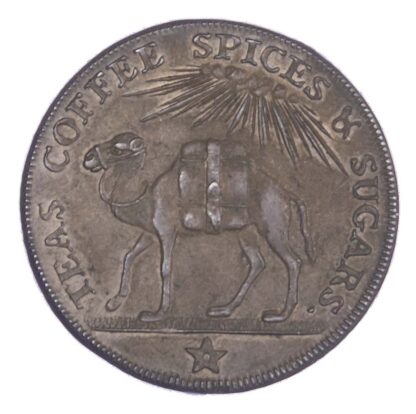 Somerset, BATH, M. Lambe & Son, AE penny