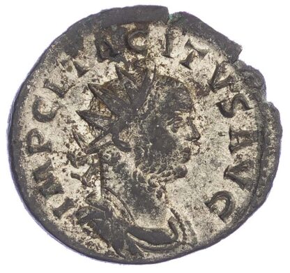 Tacitus, Antoninianus
