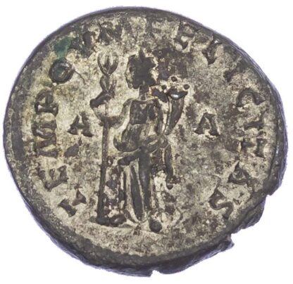 Tacitus, Antoninianus
