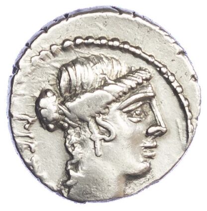 Albinus Bruti f. Silver Denarius