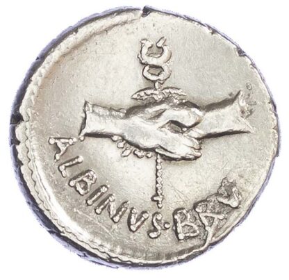 Albinus Bruti f. Silver Denarius