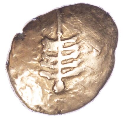 Dobunni, Anted, Gold Stater