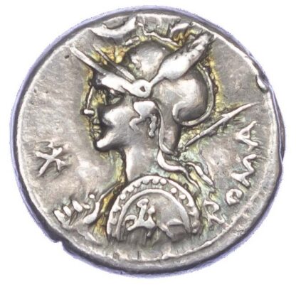 P. Licinius Nerva, Silver Denarius