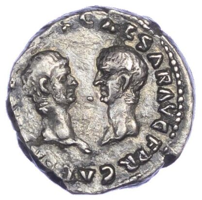Vespasian, Titus and Domitian, Silver Denarius