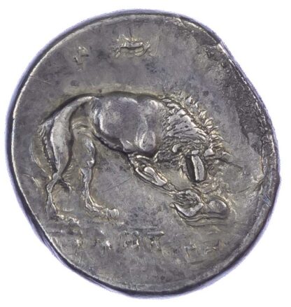 Lucania, Velia, Silver Nomos