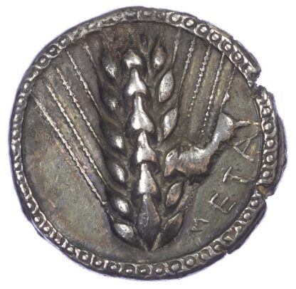 Lucania, Metapontum, Silver Stater