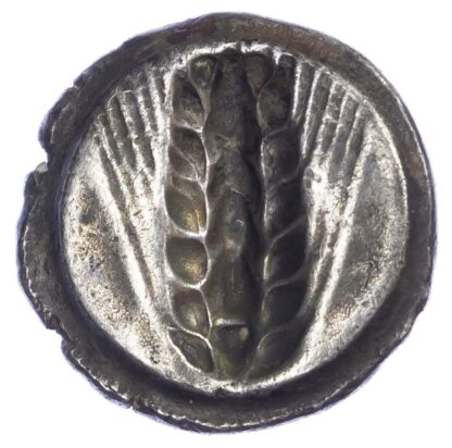 Lucania, Metapontum, Silver Stater