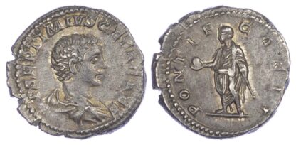 Geta, Silver Denarius