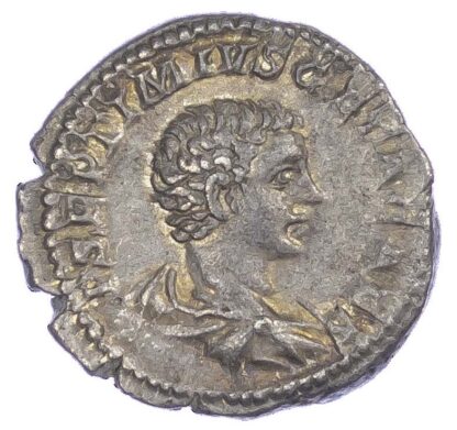 Geta, Silver Denarius
