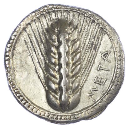Metapontum, Silver Nomos