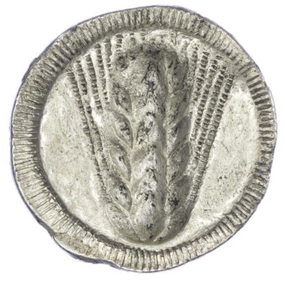 Metapontum, Silver Nomos