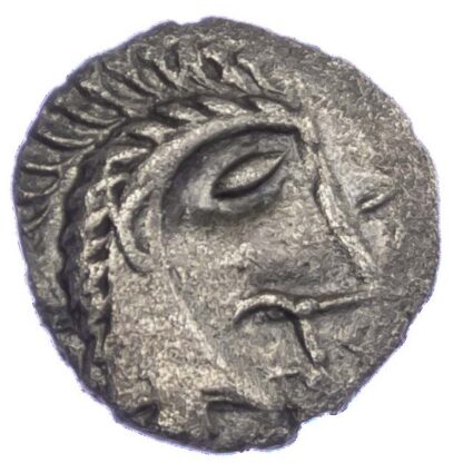 Iceni, Silver Unit