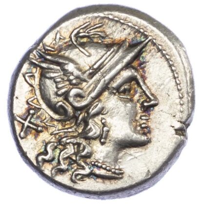 C. Maianius, Silver Denarius