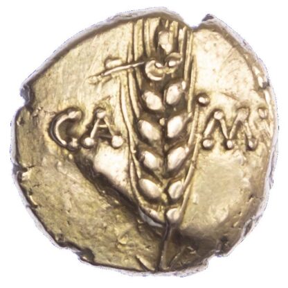Cunobelin, Gold Stater