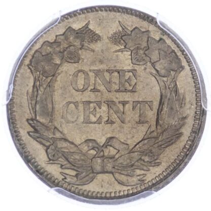 USA, Flying Eagle, copper-nickel Cent, 1858, Small Letters - MS 62