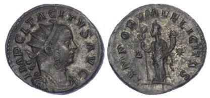 Tacitus, Bronze Antoninianus