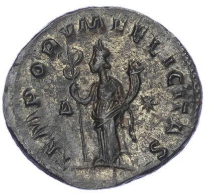 Tacitus, Bronze Antoninianus