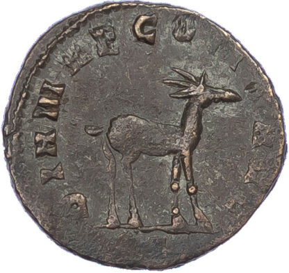 Gallienus, Bronze Antoninianus