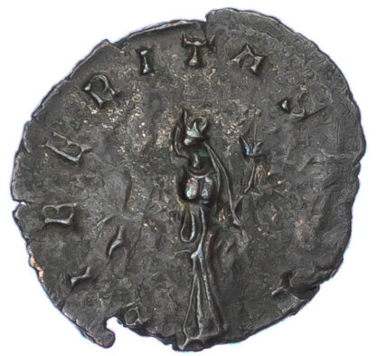 Quintillus, Bronze Antoninianus
