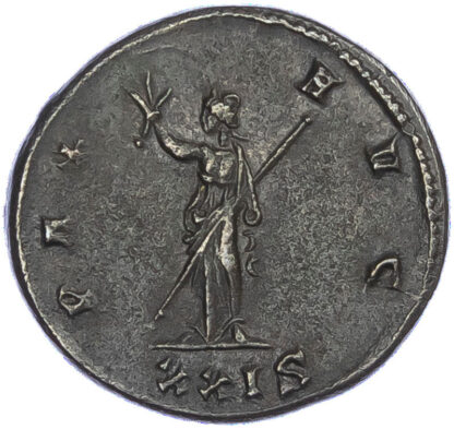 Probus, Bronze Antoninianus